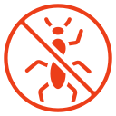 insect icon