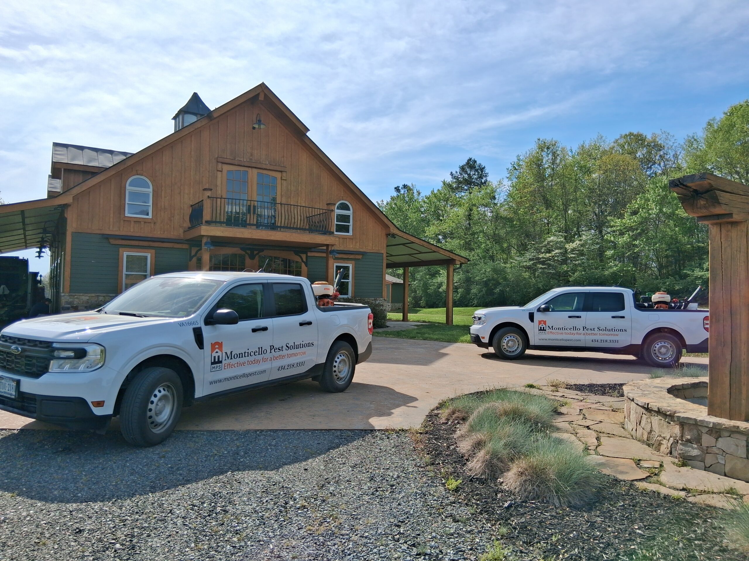 customized solutions Close up view. People killing bug with spraying of insecticide spray can. The flying ant died on white floor.
