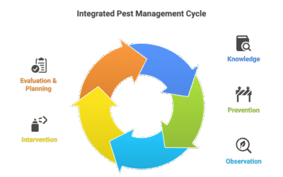 Integrated Pest Management: Eco-Friendly Solutions for Your Pest Problems